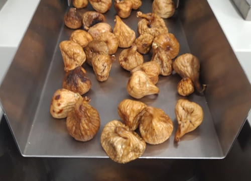 Fotografija 11 - Ivan Rak zajedno s obitelji bavi se uzgojem smokava: 'Nije lako biti poljoprivrednik, ali ne damo se'