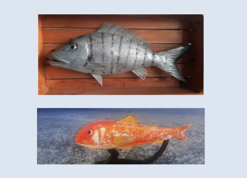 U knjižnici izložba skulptura od palminog drva Branka Kronje i Frane Stančića