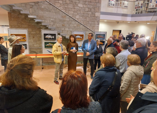 U knjižnici otvorena izložba skulptura od palminog drva Branka Kronje i Frane Stančića