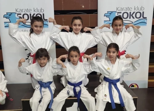 Fotografija 1 - Karate klubu Pirovac sedam medalja na Jadran Kupu u Splitu