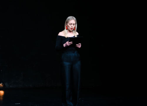 Fotografija 10 - Tarik Filipović i Daria Lorenci napunili i oduševili šibensko kazalište