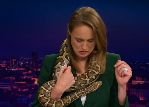 Mojmira vodila Direkt s indijskim pitonom Abdulahom oko vrata