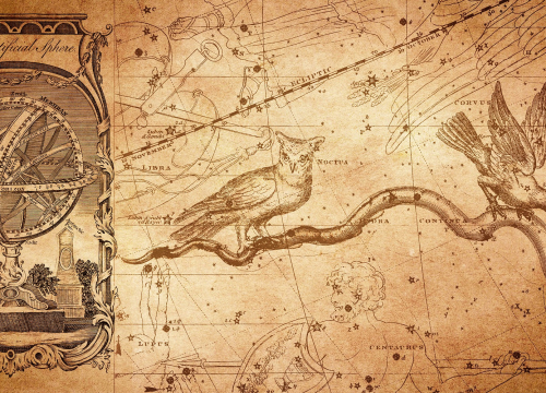 Zbog čega vam se drugi ljudi dive: Škorpion ima auru privlačnosti, Vodenjak briljantan um