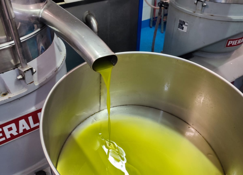 Fotografija 7 - OPG Ivić od hobija postao obiteljski posao prepoznat u svijetu: 'Mnogo je truda i odricanja, ali priznanja daju vjetar u leđa'