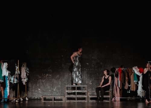 Fotografija 9 - Fenomenalna predstava dramskog studija Ivana Jelić: ‘Repertoar’ traži granicu umjetnosti i profita