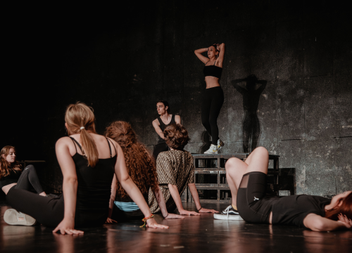 Fotografija 16 - Fenomenalna predstava dramskog studija Ivana Jelić: ‘Repertoar’ traži granicu umjetnosti i profita