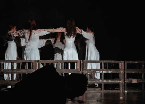 Fotografija 26 - Fenomenalna predstava dramskog studija Ivana Jelić: ‘Repertoar’ traži granicu umjetnosti i profita