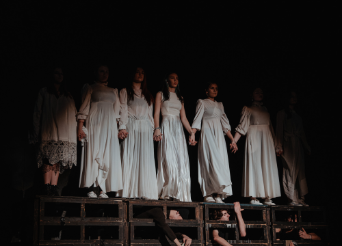 Fotografija 28 - Fenomenalna predstava dramskog studija Ivana Jelić: ‘Repertoar’ traži granicu umjetnosti i profita