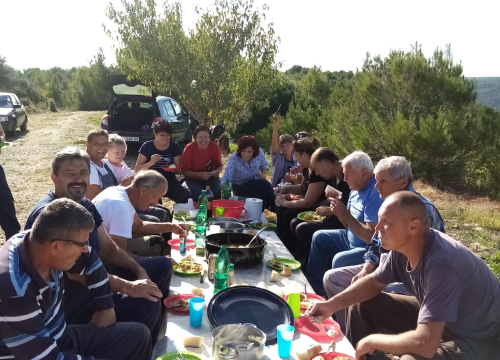 Fotografija 12 - OPG Ivić od hobija postao obiteljski posao prepoznat u svijetu: 'Mnogo je truda i odricanja, ali priznanja daju vjetar u leđa'