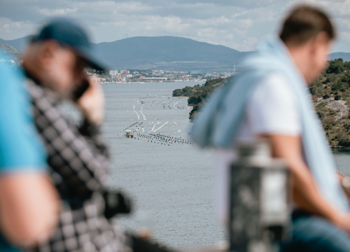 Fotografija 28 - Uživajte u morskim delicijama kušaonice školjaka i vina Oyster22!