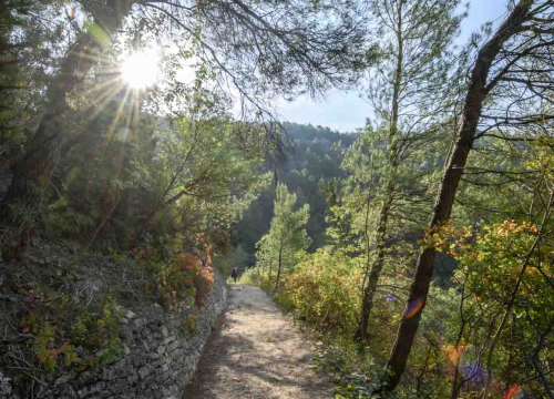 Fotografija 5 - Posjeti NP "Krka" na Praznik rada, preuzmi svoju sadnicu i posadi je za budućnost!