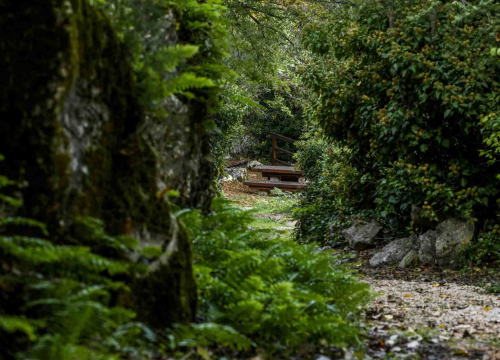 Fotografija 7 - Posjeti NP "Krka" na Praznik rada, preuzmi svoju sadnicu i posadi je za budućnost!