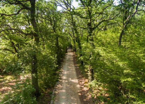Fotografija 9 - Posjeti NP "Krka" na Praznik rada, preuzmi svoju sadnicu i posadi je za budućnost!
