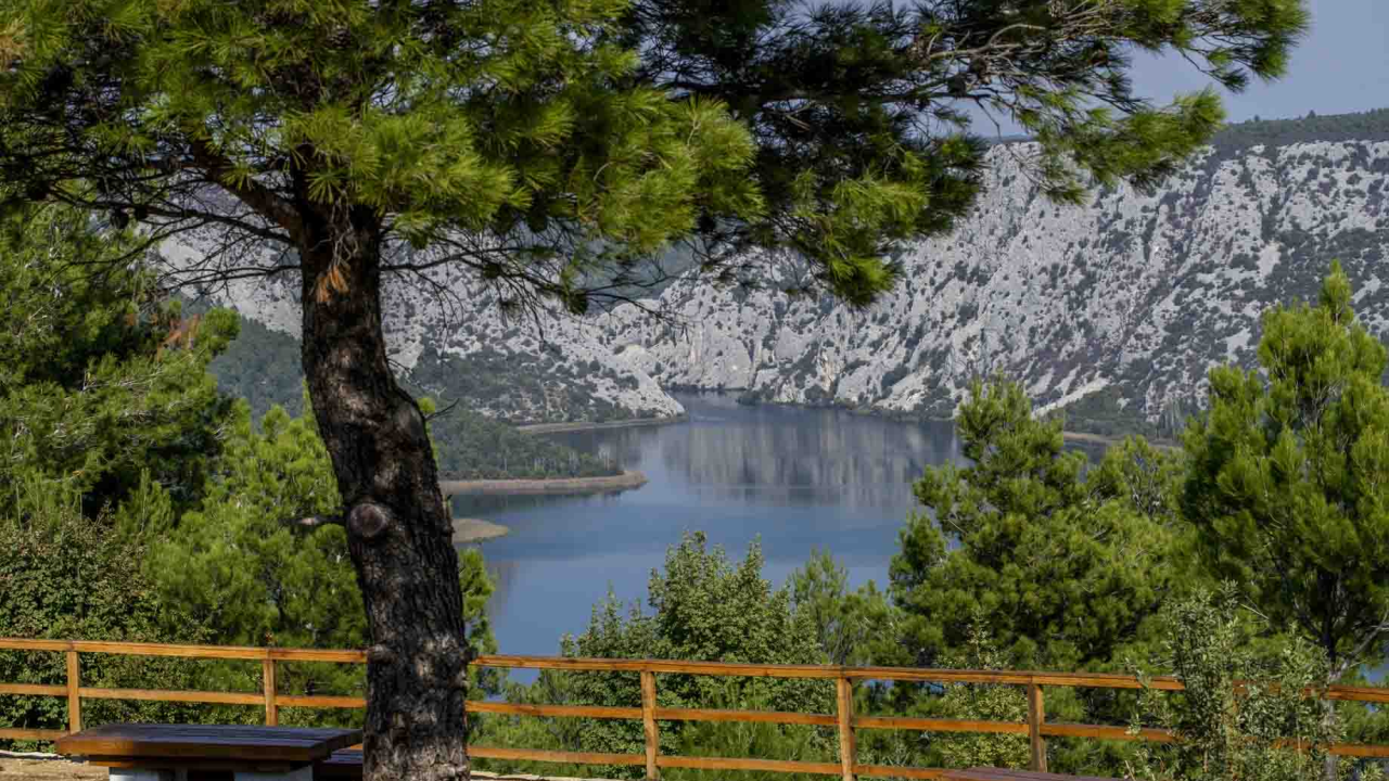 Posjeti NP "Krka" na Praznik rada, preuzmi svoju sadnicu i posadi je za budućnost!