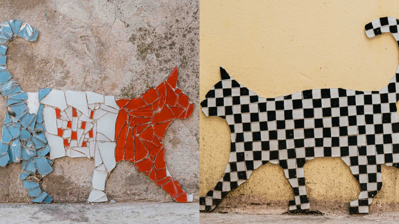 Mačke nakon šibenskih ulica osvojile i fasade u starom gradu: Autora ovog 'street arta' još uvijek ne znamo, ali sviđa nam se