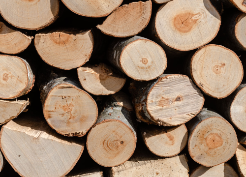 Fotografija 5 - Ne čekajte zahlađenje već se opremite drvima na vrijeme!