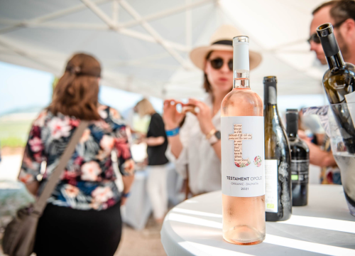 Fotografija 3 - Doživite pravu vinsku priču na ovogodišnjim Danima otvorenih kušaonica!