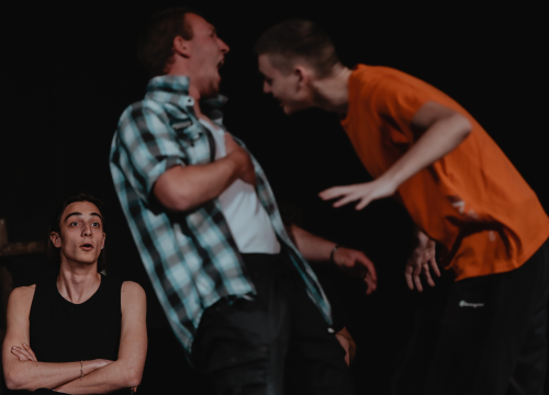 Fotografija 7 - Dramski studio oduševio još jednom: Kauboji su do suza nasmijali rasprodano kazalište!