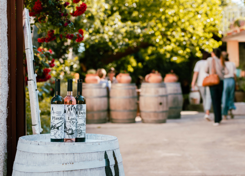 Fotografija 8 - Doživite pravu vinsku priču na ovogodišnjim Danima otvorenih kušaonica!