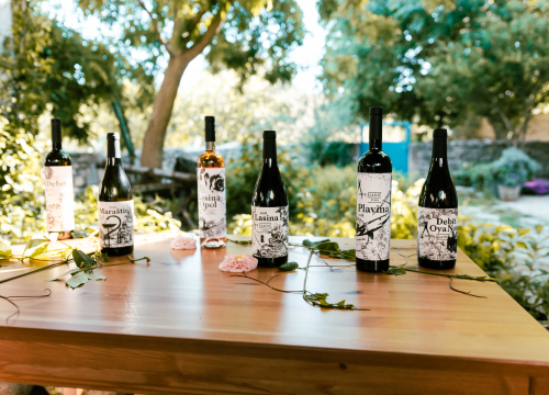 Fotografija 10 - Doživite pravu vinsku priču na ovogodišnjim Danima otvorenih kušaonica!