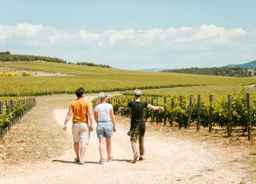 Fotografija 17 - Doživite pravu vinsku priču na ovogodišnjim Danima otvorenih kušaonica!