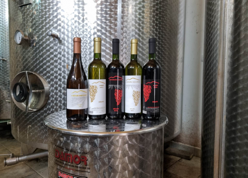 Fotografija 3 - Vinar Ivica Džapo: 'Promincima loza je u krvi, naš je debit uvijek bio prvi'