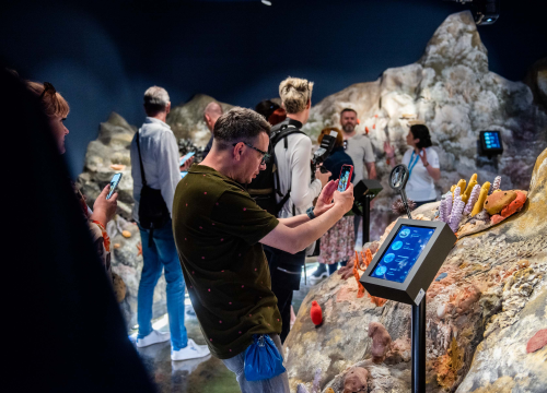 Posjetili smo posjetiteljski centar u Minerskoj: Virtualna stvarnost, povijest kanala sv. Ante, flora, fauna, podmorje…