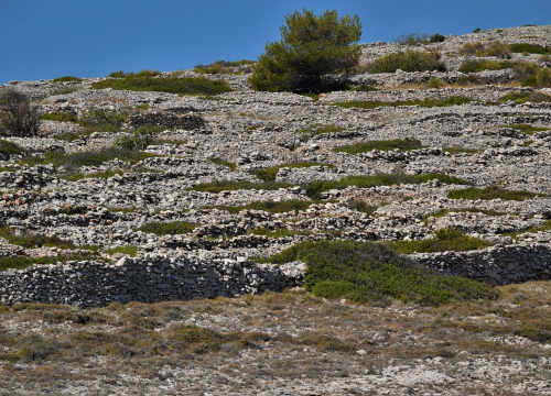 Britanac iz Dalmacije o 25 stvari koje ne očekujete na hrvatskim otocima: Iznenadio ga i Baljenac