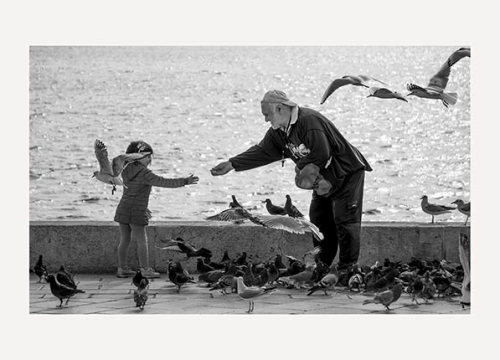 U knjižnici otvorenje izložbe Marka Petrića