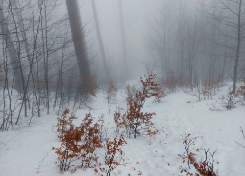 Fotografija 22 - Kninjanin Ivan Džepina obišao 158 hrvatskih vrhova, a na posljednjem je zaprosio djevojku