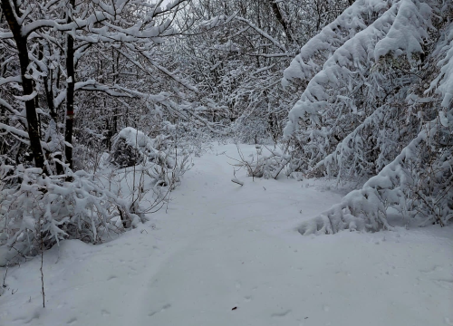 Fotografija 17 - Kninjanin Ivan Džepina obišao 158 hrvatskih vrhova, a na posljednjem je zaprosio djevojku