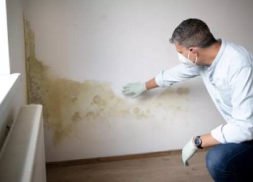 Fotografija 2 - Donosimo odgovore na pet najčešćih pitanja vezanih uz pojavu vlage i plijesni u domovima!