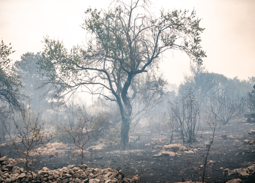 Na požarištu ostaje dežurati 51 vatrogasac