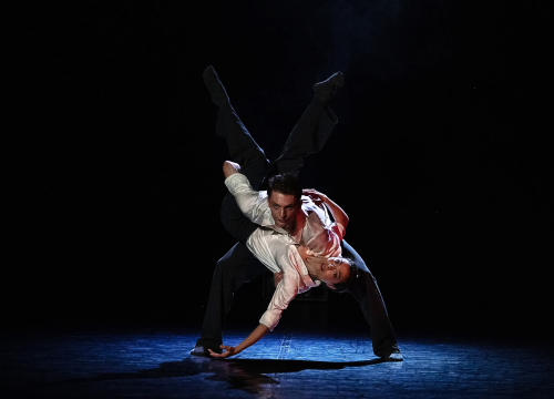 Na Šibenik Dance Festivalu predstavljanje suvremenog plesa Mađarske