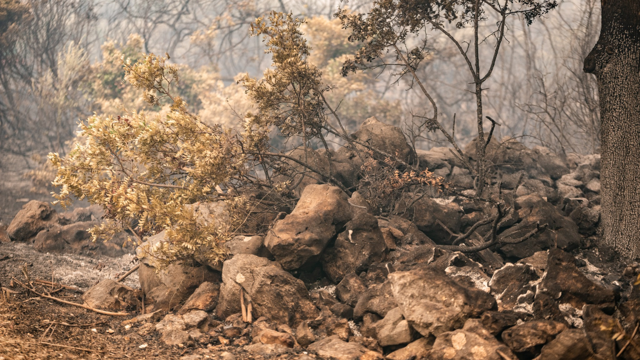 Primoštenski vatrogasci: 'Nakon 5 i pol dana napokon krećemo prema našem domu'