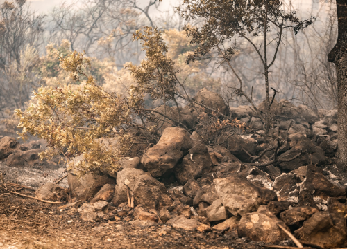Primoštenski vatrogasci: 'Nakon 5 i pol dana napokon krećemo prema našem domu'