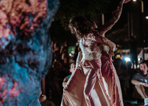 Fotografija 2 - Šibenčani ovacijama pozdravili dolazak suvremenog plesa u njihov grad