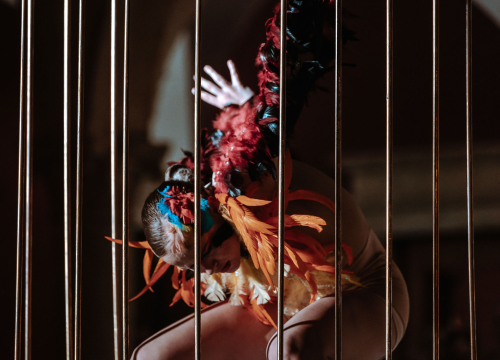 Fotografija 16 - Šibenčani ovacijama pozdravili dolazak suvremenog plesa u njihov grad