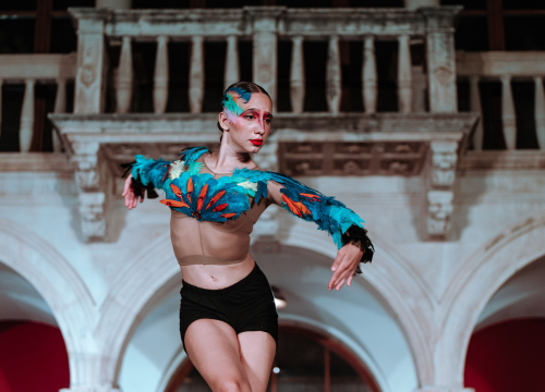 Fotografija 15 - Šibenčani ovacijama pozdravili dolazak suvremenog plesa u njihov grad