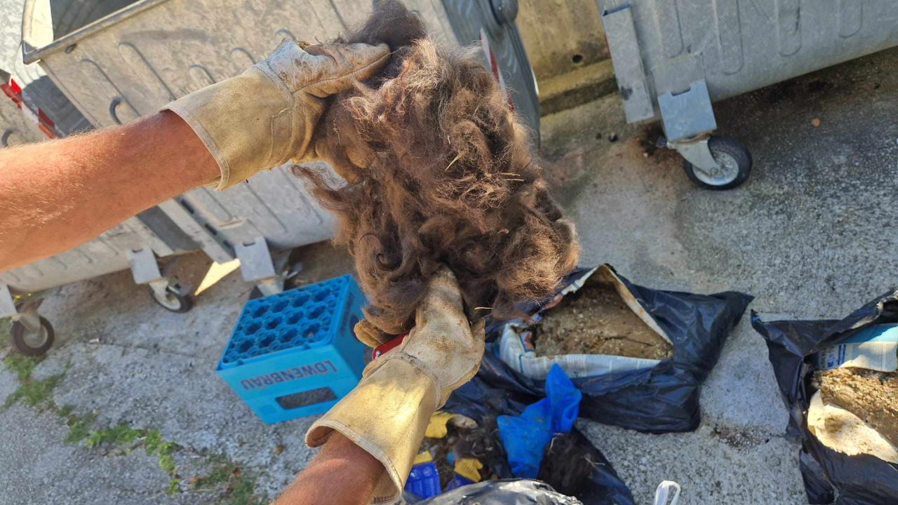 Volonteri kninske udruge ostavili 20 vreća životinjskog otpada u centru Kijeva