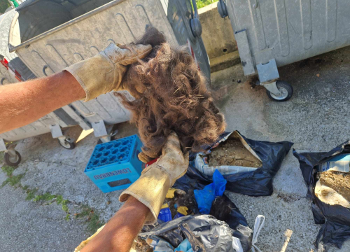 Volonteri kninske udruge ostavili 20 vreća životinjskog otpada u centru Kijeva