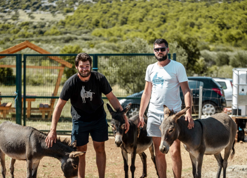 Za magarce na farmi 'Ćušin raj' brine se cilo misto: 'Mještani donose hranu, a djeca zaborave na mobitele'