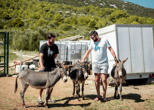 Fotografija 11 - Za magarce na farmi 'Ćušin raj' brine se cilo misto: 'Mještani donose hranu, a djeca zaborave na mobitele'