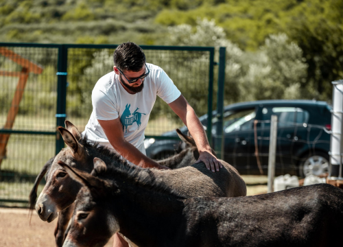 Fotografija 15 - Za magarce na farmi 'Ćušin raj' brine se cilo misto: 'Mještani donose hranu, a djeca zaborave na mobitele'