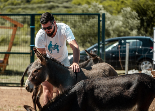 Fotografija 16 - Za magarce na farmi 'Ćušin raj' brine se cilo misto: 'Mještani donose hranu, a djeca zaborave na mobitele'
