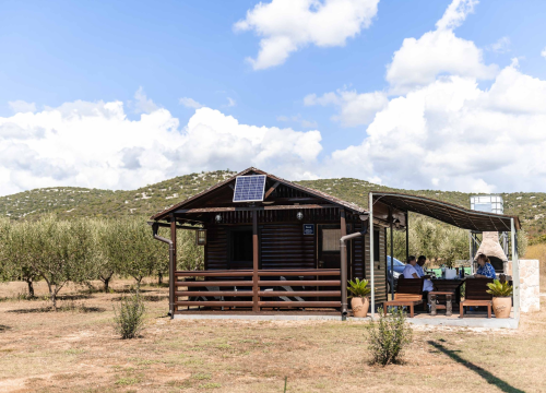 Fotografija 6 - Krešimir Uroda vratio se u Pirovac, oživio maslinik i danas je njegovo ulje među najboljim u svijetu