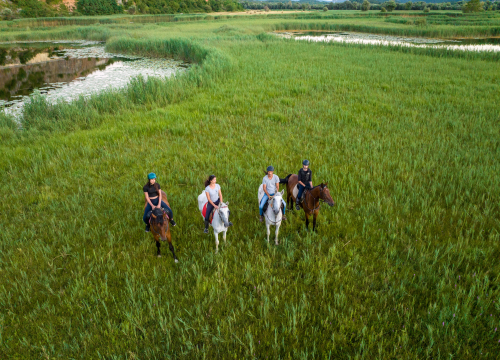 Fotografija 8 - Gracija je kostimografkinja koja se iz Zagreba vratila u Zagoru i danas se bavi uzgojem konja
