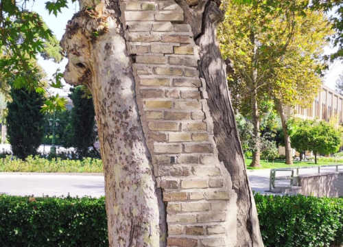 Fotografija 30 - Petnaest planinara iz Šibenika krenulo u osvajanje najvećeg vrha u Iranu: Njih devetero je uspjelo!