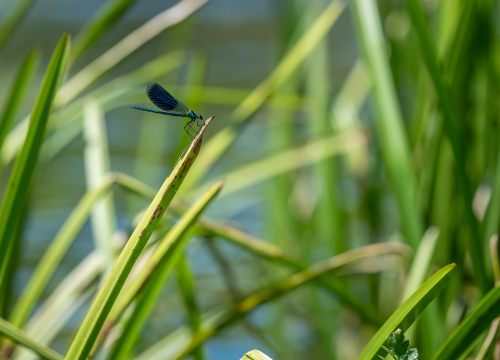 Fotografija 11 - Mihovil je odluku o povratku u Knin donio u nekoliko minuta i danas se tu bavi aktivnim turizmom