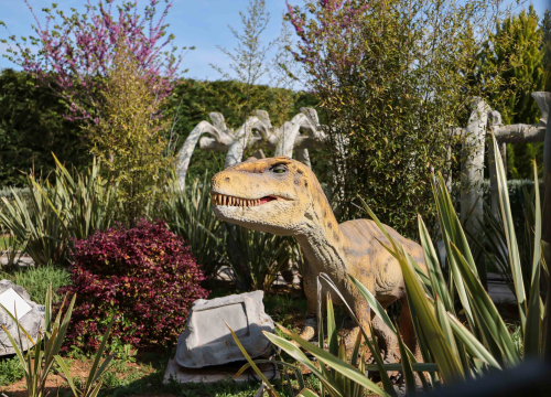 Fotografija 17 - Poliklinika Affidea Vita svojim pacijenticama poklanja besplatne preglede dojki!